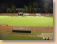 DSC03890.JPG